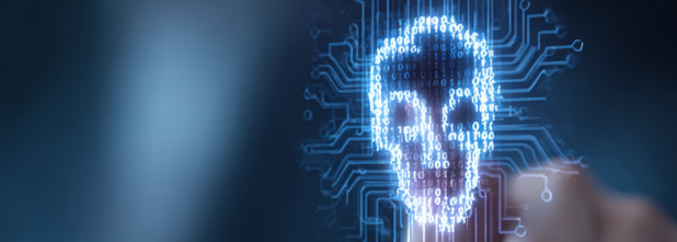 Digital Skull