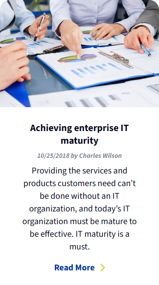 Achieving enterprise IT maturity